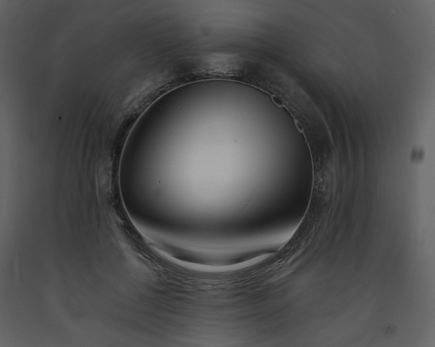 X0000093600552200710221549