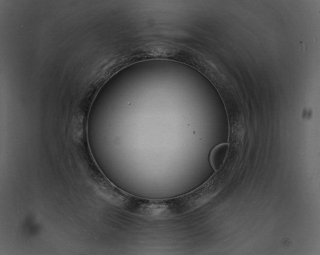 X0000093600554200710221549