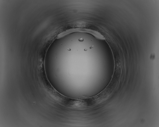 X0000093600555200710221549