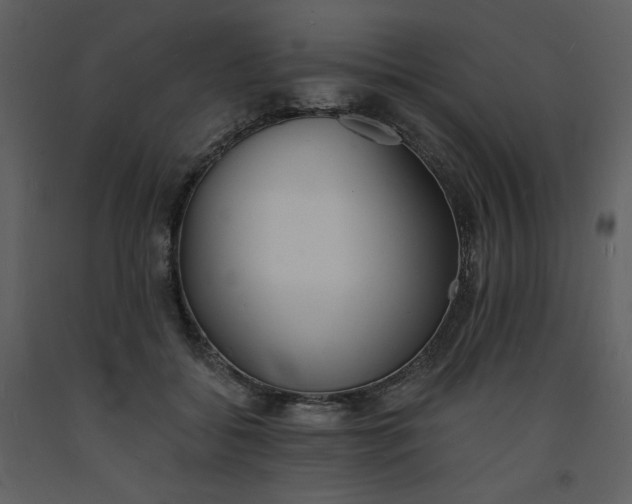 X0000093600556200710221549