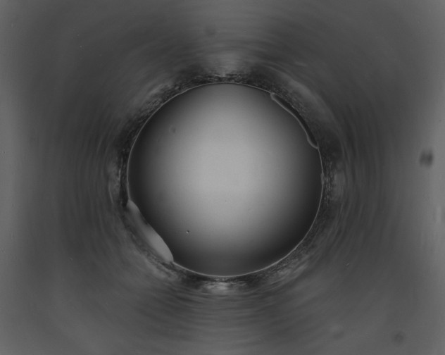 X0000093600558200710221549