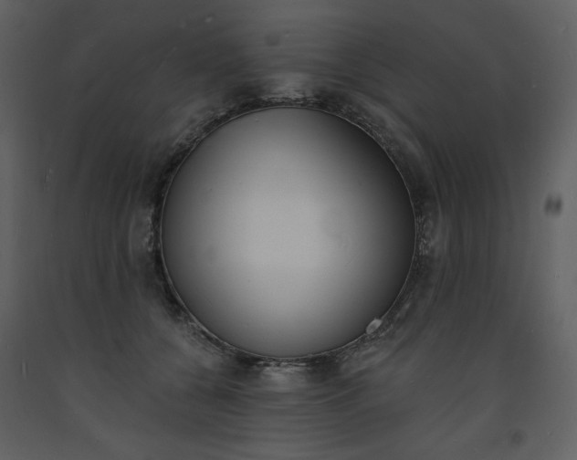 X0000093600560200710221549