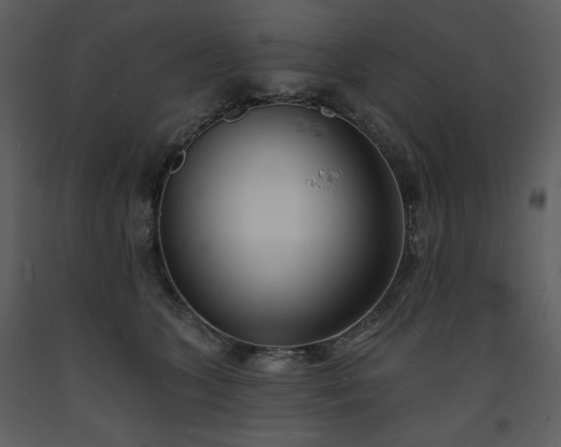 X0000093600563200710221549