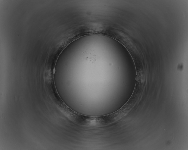 X0000093600564200710221549