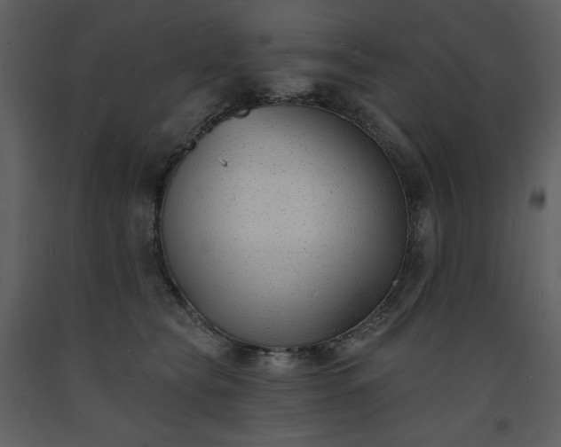 X0000093600565200710221549