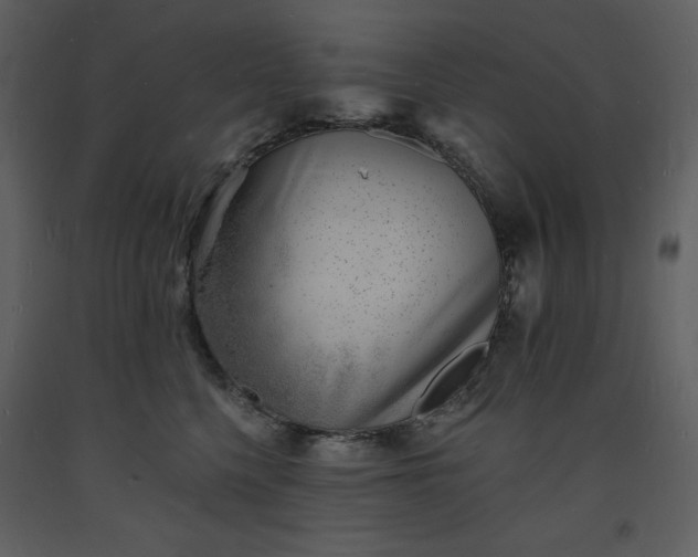 X0000093600568200710221549