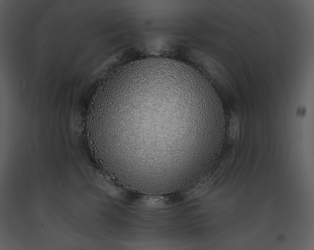 X0000093600569200710221549