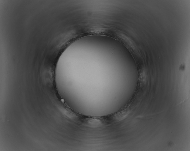 X0000093600572200710221550