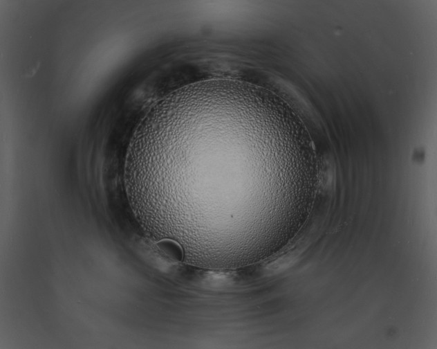 X0000093600573200710221550