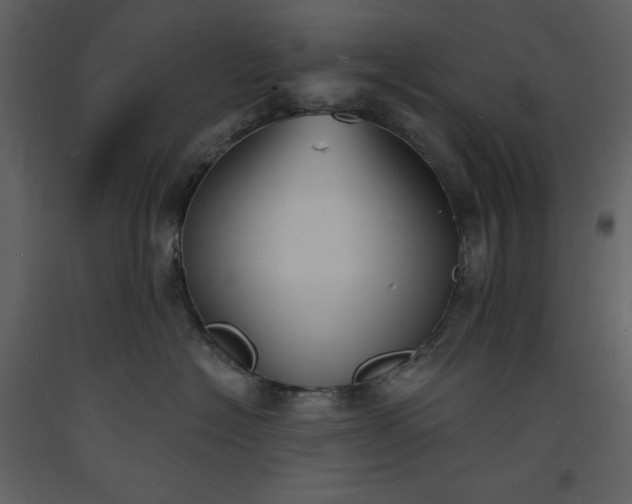 X0000093600574200710221550