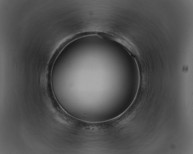 X0000093600580200710221549