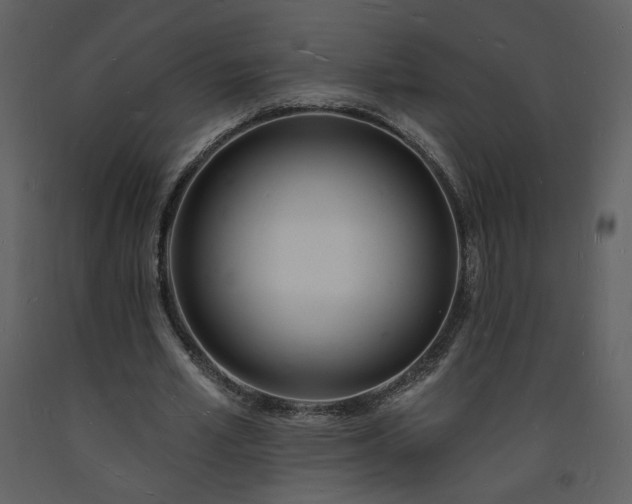 X0000093600581200710221549