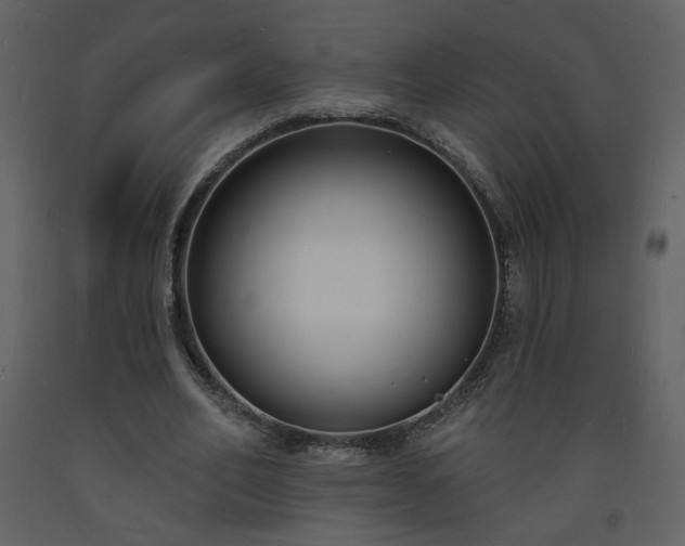 X0000093600582200710221549