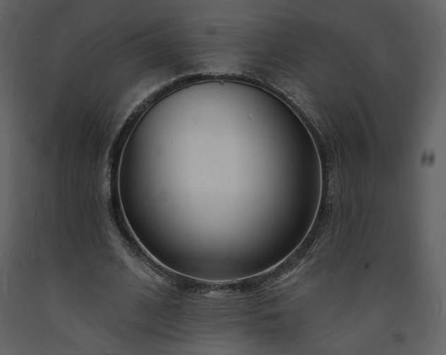 X0000093600584200710221549