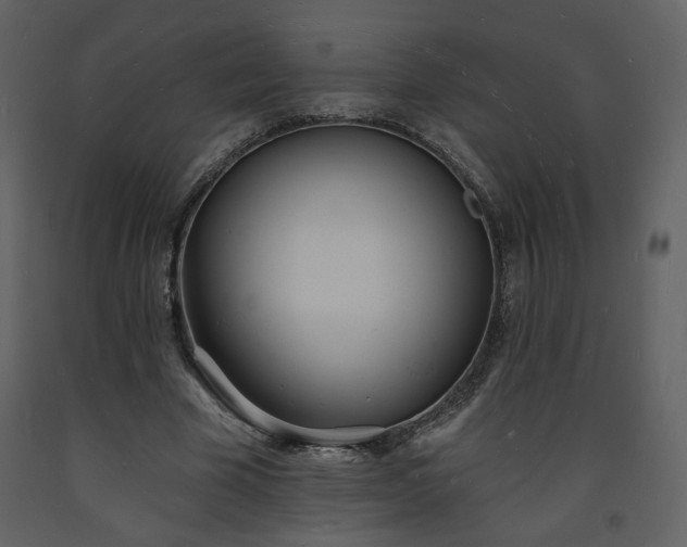 X0000093600585200710221549