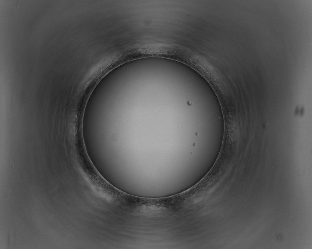 X0000093600586200710221549