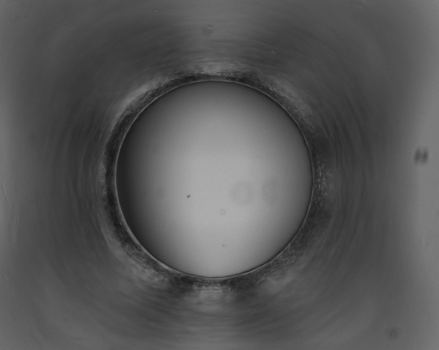 X0000093600587200710221549