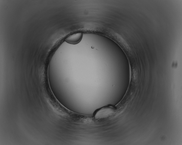 X0000093600588200710221549