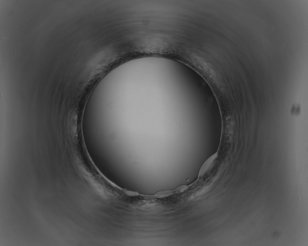 X0000093600589200710221549