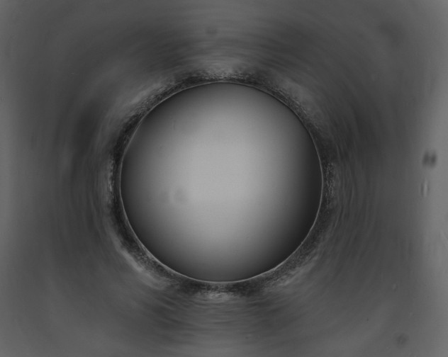 X0000093600590200710221549