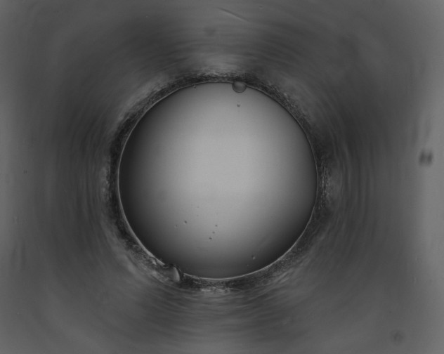 X0000093600591200710221549