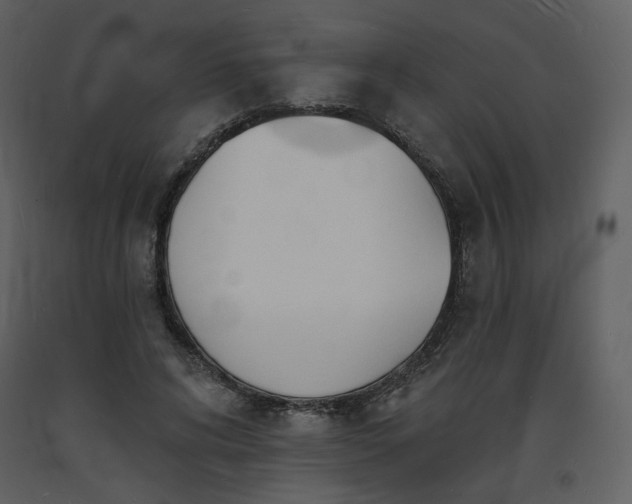 X0000093600592200710221549