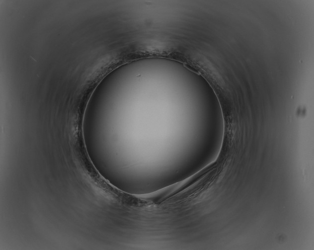 X0000093600593200710221549