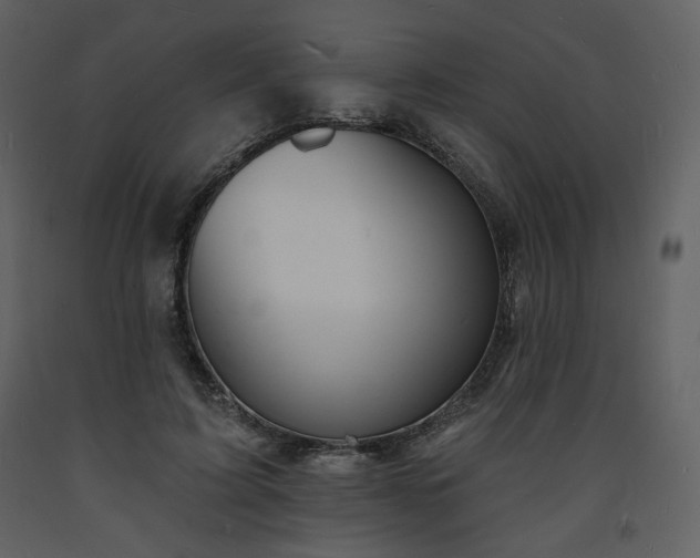 X0000093600595200710221549