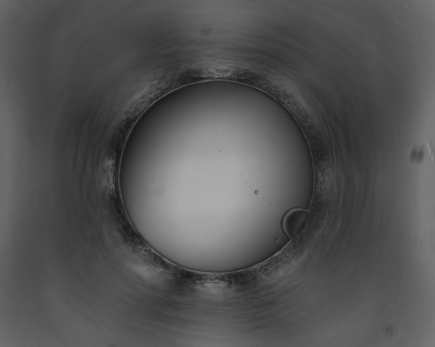 X0000093600598200710221549