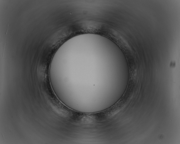 X0000093600599200710221549