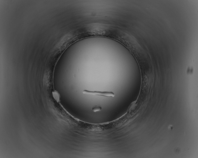 X0000093600600200710221549