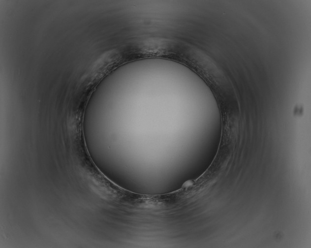 X0000093600601200710221549