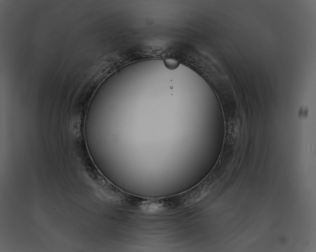 X0000093600602200710221549