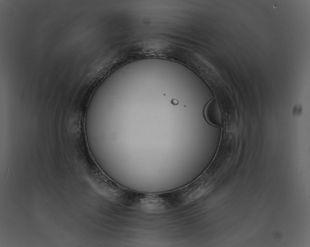 X0000093600603200710221549