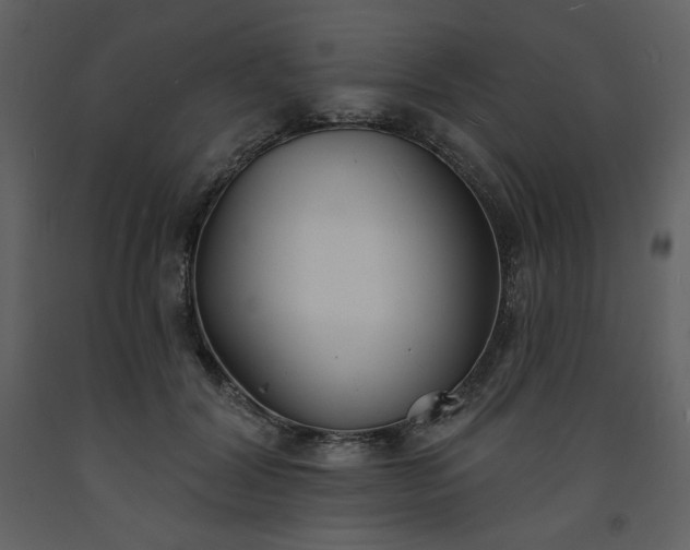 X0000093600604200710221549