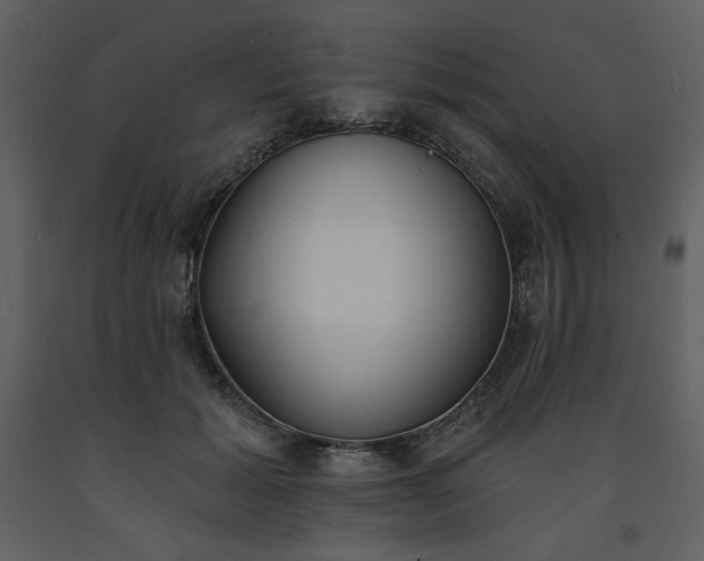 X0000093600605200710221549