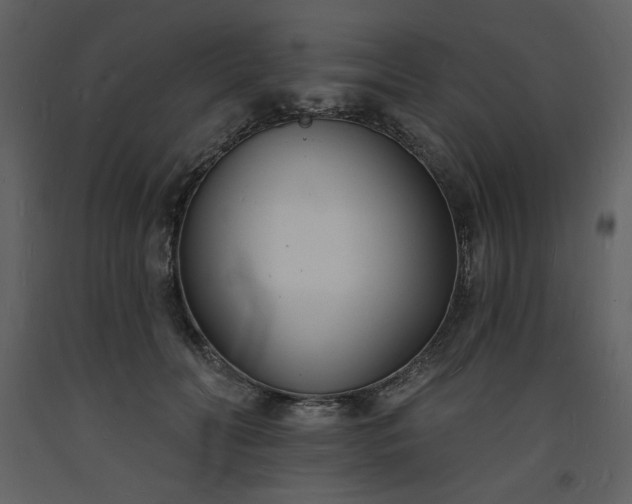 X0000093600606200710221549