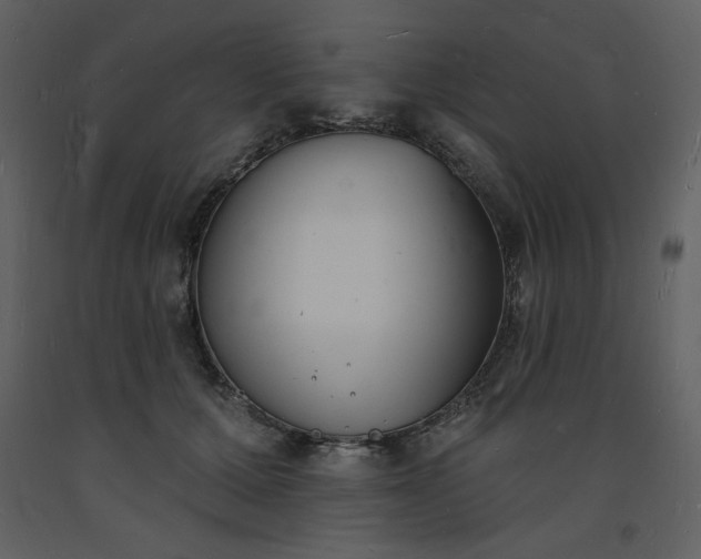 X0000093600607200710221549