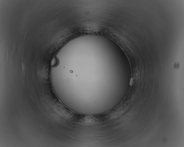 X0000093600608200710221549