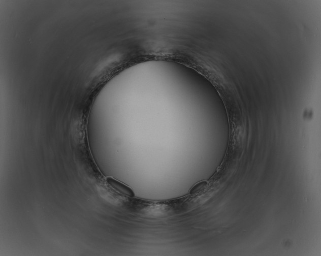 X0000093600609200710221549