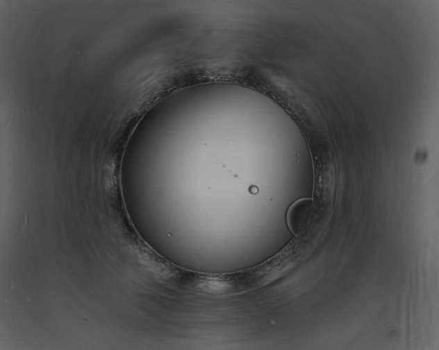 X0000093600610200710221549