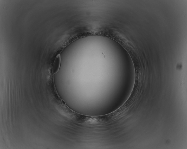 X0000093600611200710221549