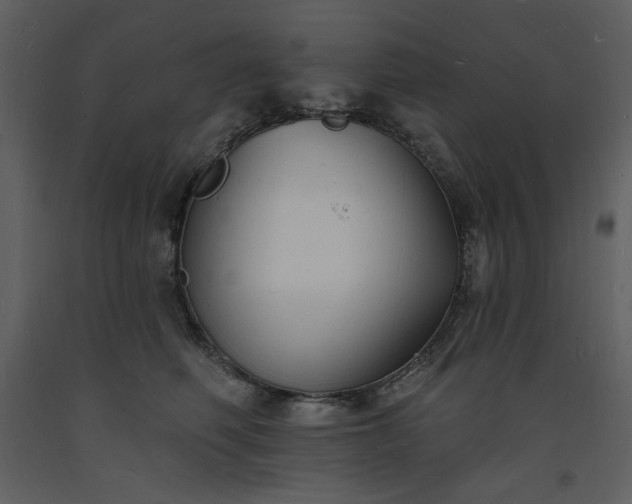 X0000093600614200710221548