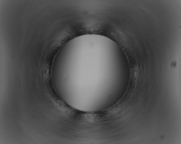 X0000093600615200710221548