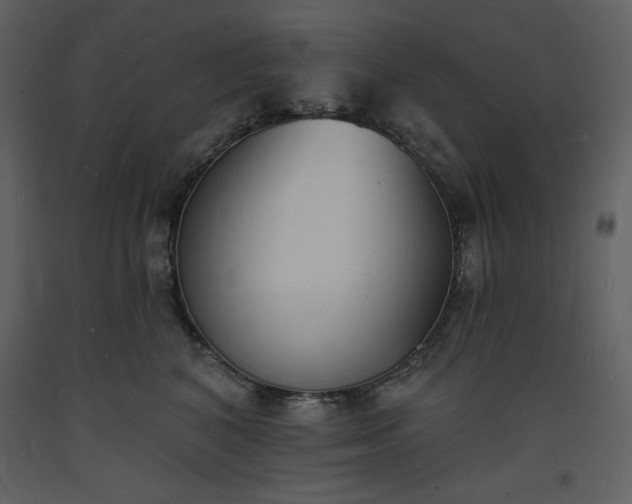 X0000093600616200710221548