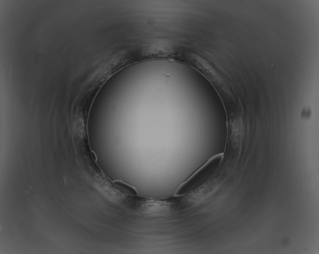 X0000093600617200710221548