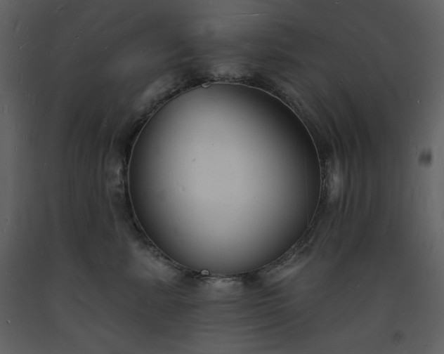 X0000093600619200710221548