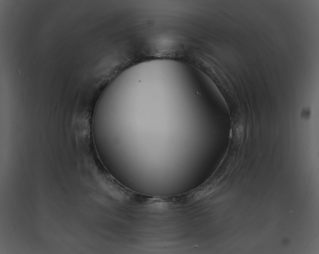 X0000093600620200710221548