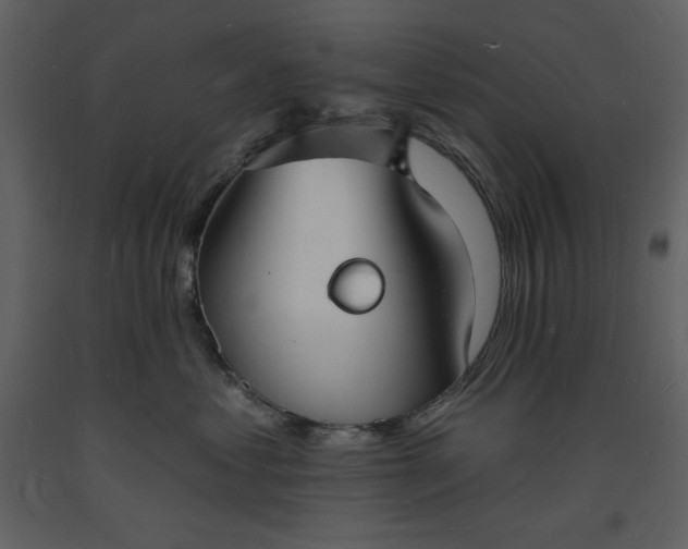 X0000093600621200710221548