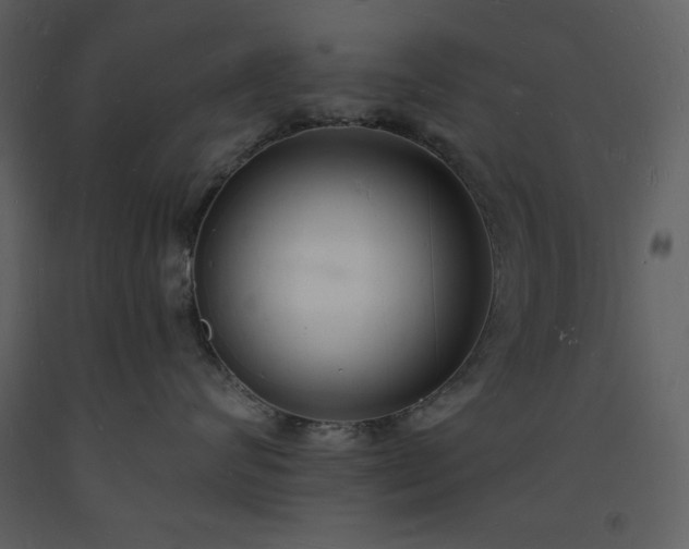 X0000093600624200710221548